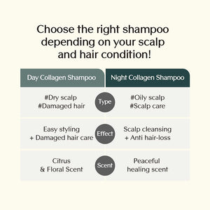 TREECELL DAY COLLAGEN SHAMPOO MORNING OF RESORT 360ML